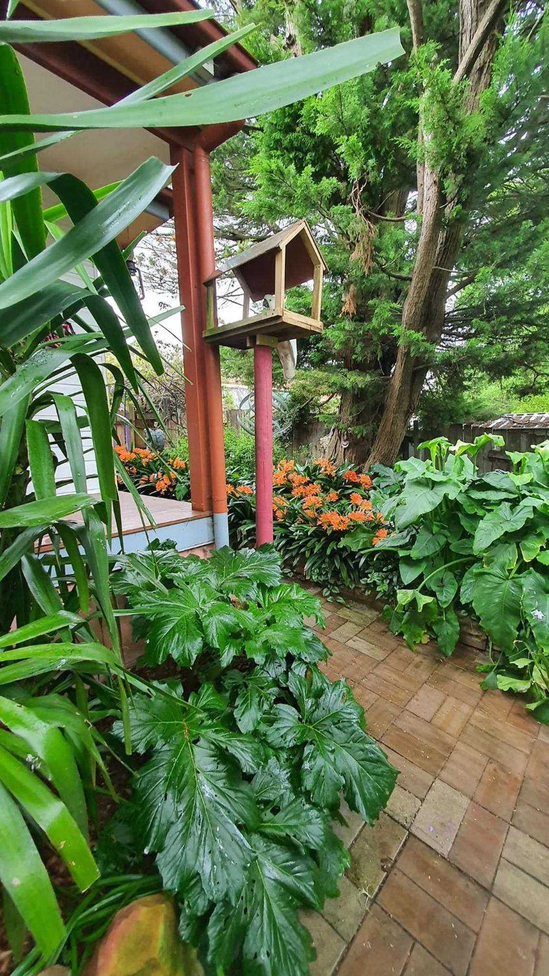 ミタゴン ボーラル ロード ベッド ＆ ブレックファースト Bed & Breakfast エクステリア 写真